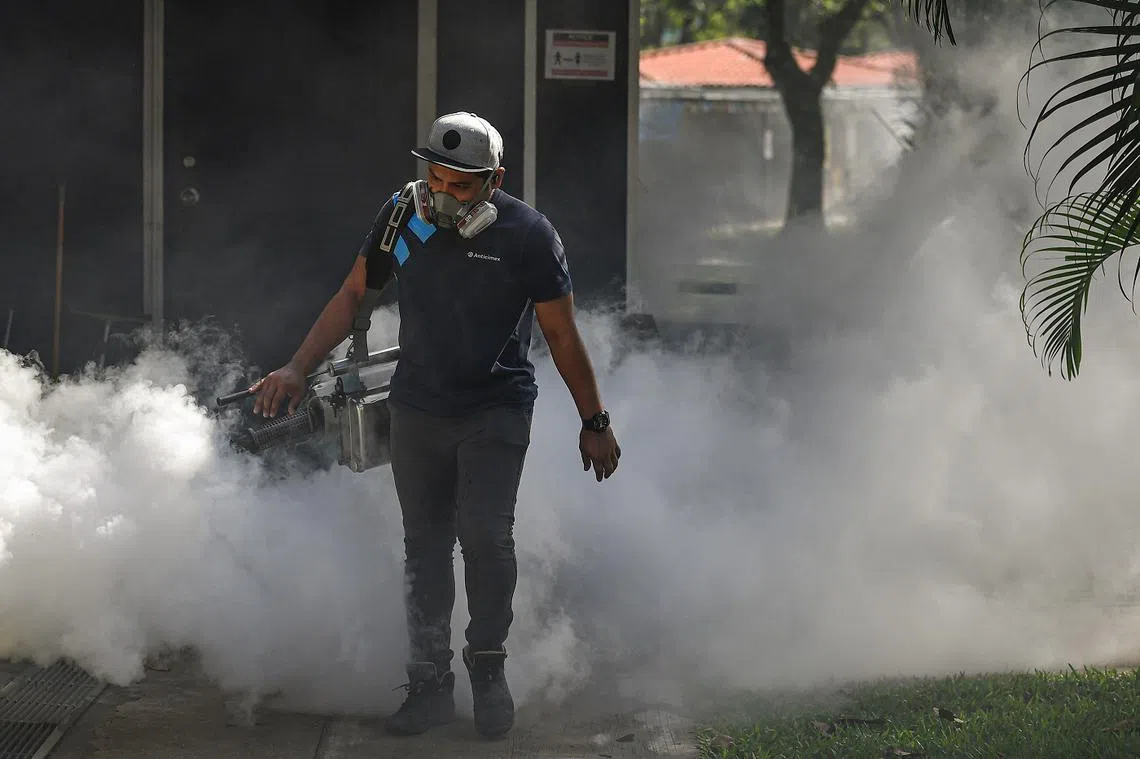 不论是灭蚊喷雾，还是跨境烟霾，最好都离我们远一点。（海峡时报）