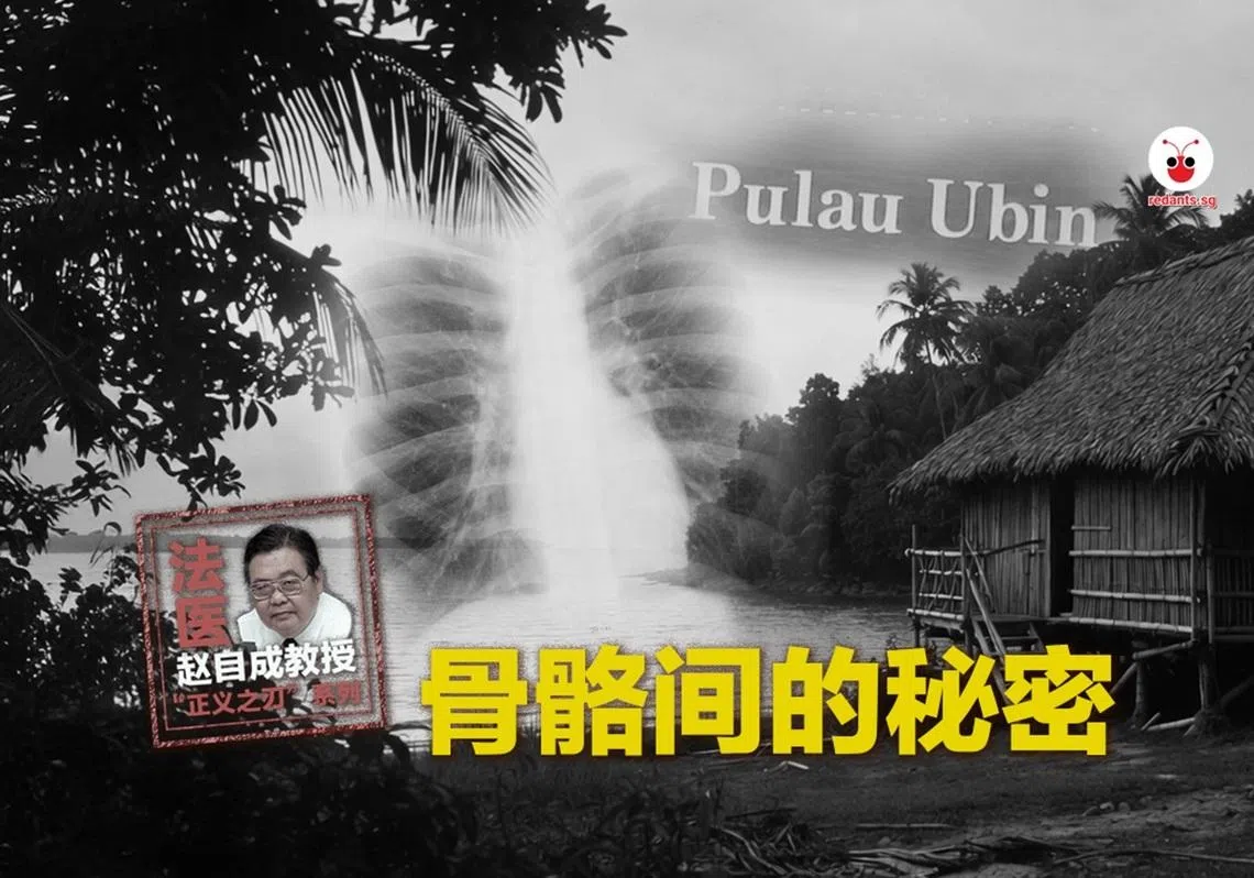 （林慧彦制图）