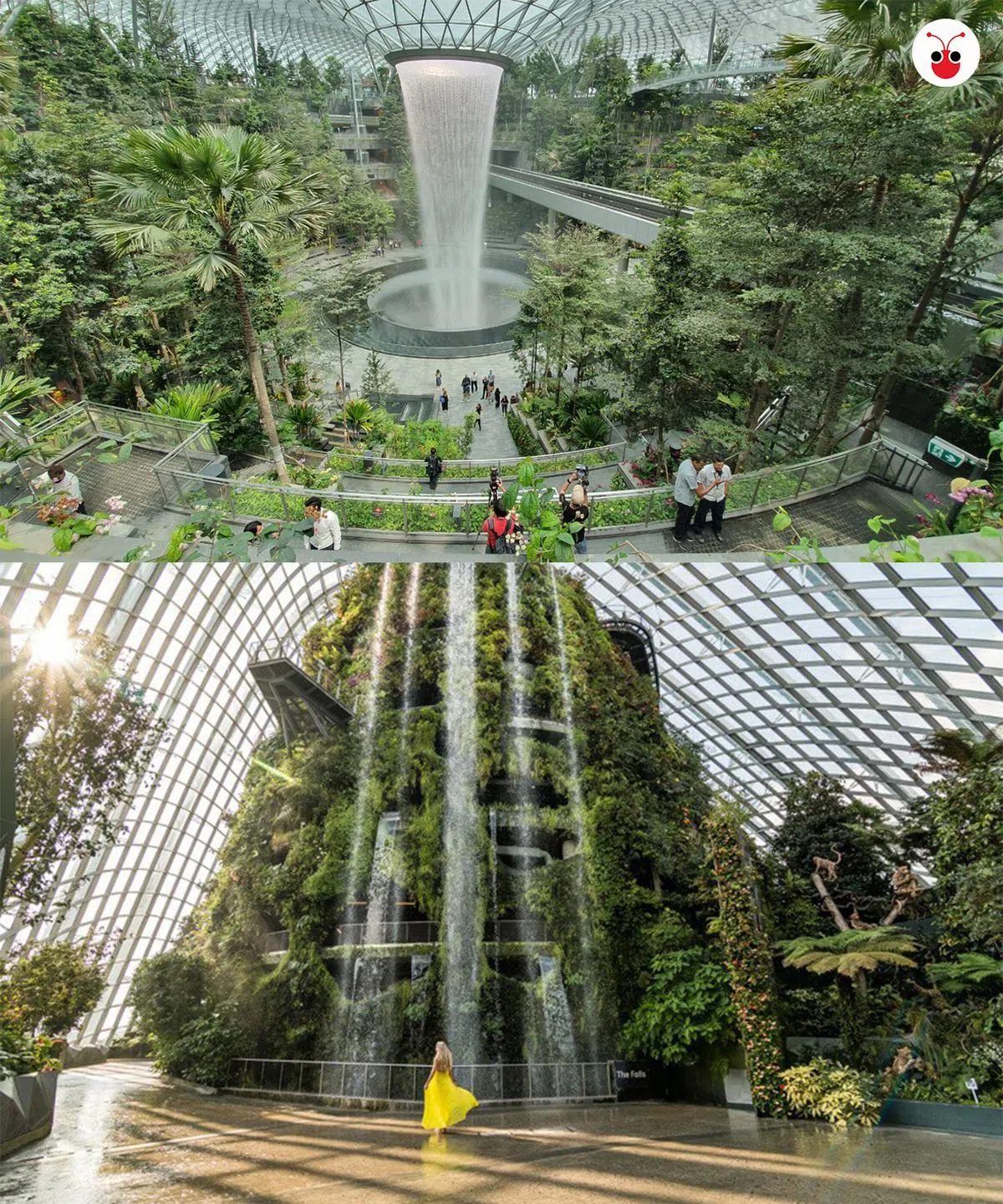  两个都充满绿植，是不是觉得蛮像的？尤其是瀑布的元素，两个瀑布根本可以无缝衔接。（Business Insider/互联网） 