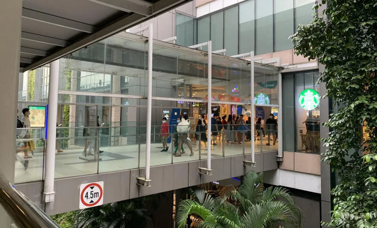 为了保护未接种疫苗者，新加坡扩大了疫苗接种差异化安全管理措施的范围。自今天（10月13日）起，只有已接种疫苗者可在外堂食以及进入商场和景点，未接种疫苗不能如此做，但仍可打包食物。（新明日报）