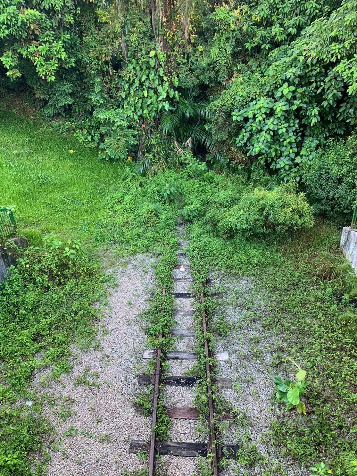 有心人就能找到。（叶孝忠摄） 