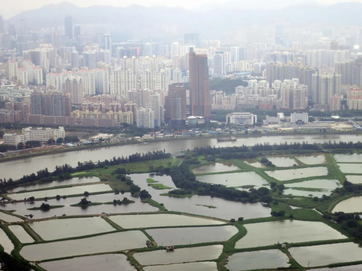  在香港边界鸟瞰深圳。（海峡时报） 