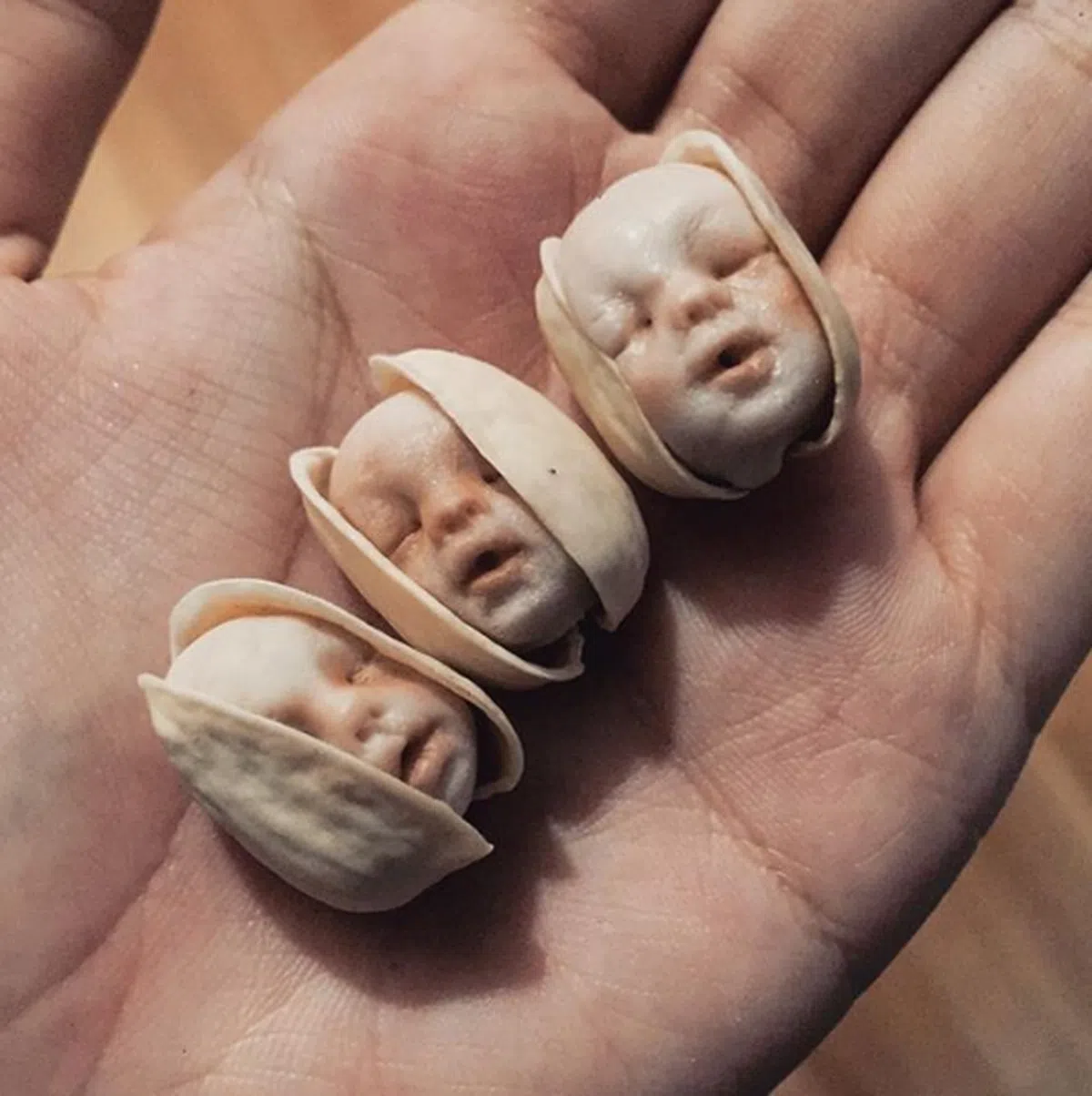  （取自 @qimmyshimmy Instagram） 