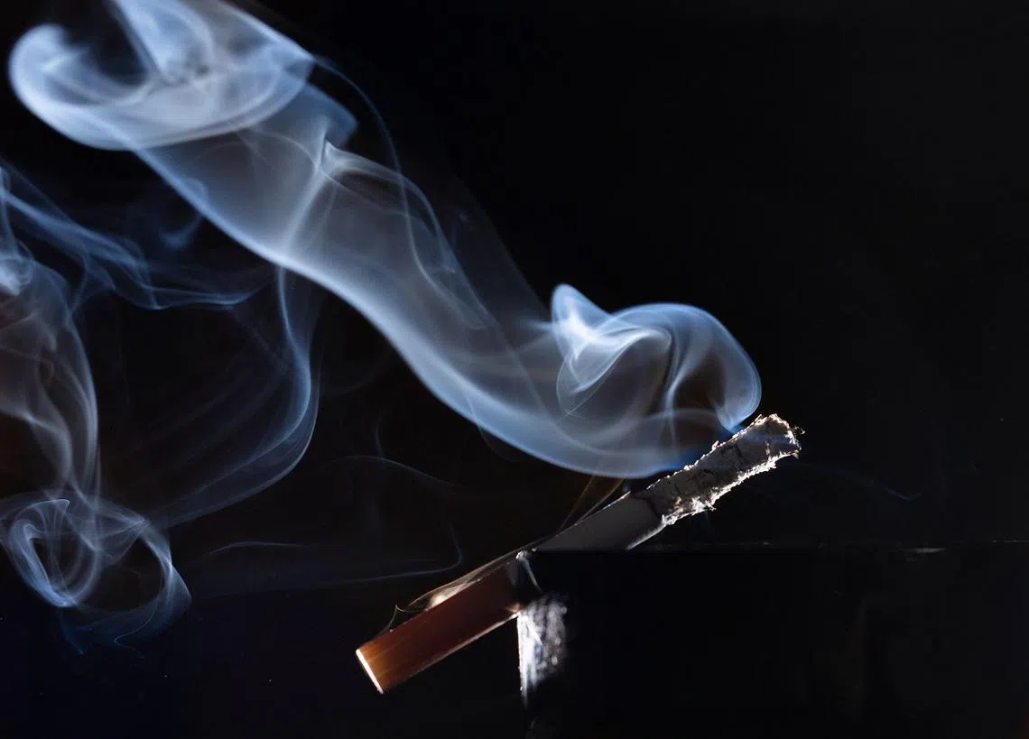 快捂住鼻子！（ALAMY）