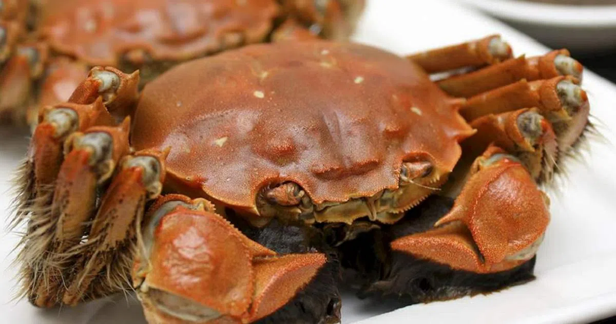 （TasteAtlas网站截图）