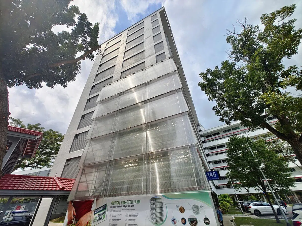 稻米被迁至淡滨尼5道第146座组屋旁，一个六层楼高的高科技垂直农场种植。（联合早报）