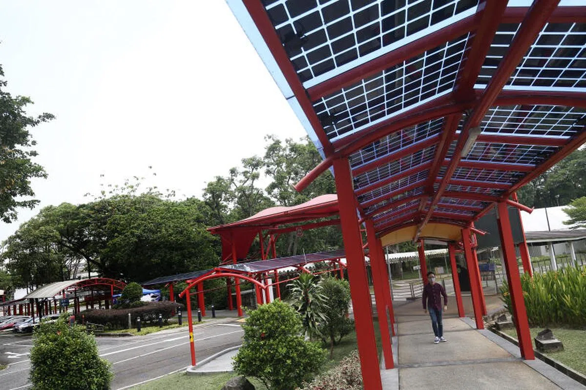 新加坡知新馆在有盖走道安装太阳能。（联合早报）