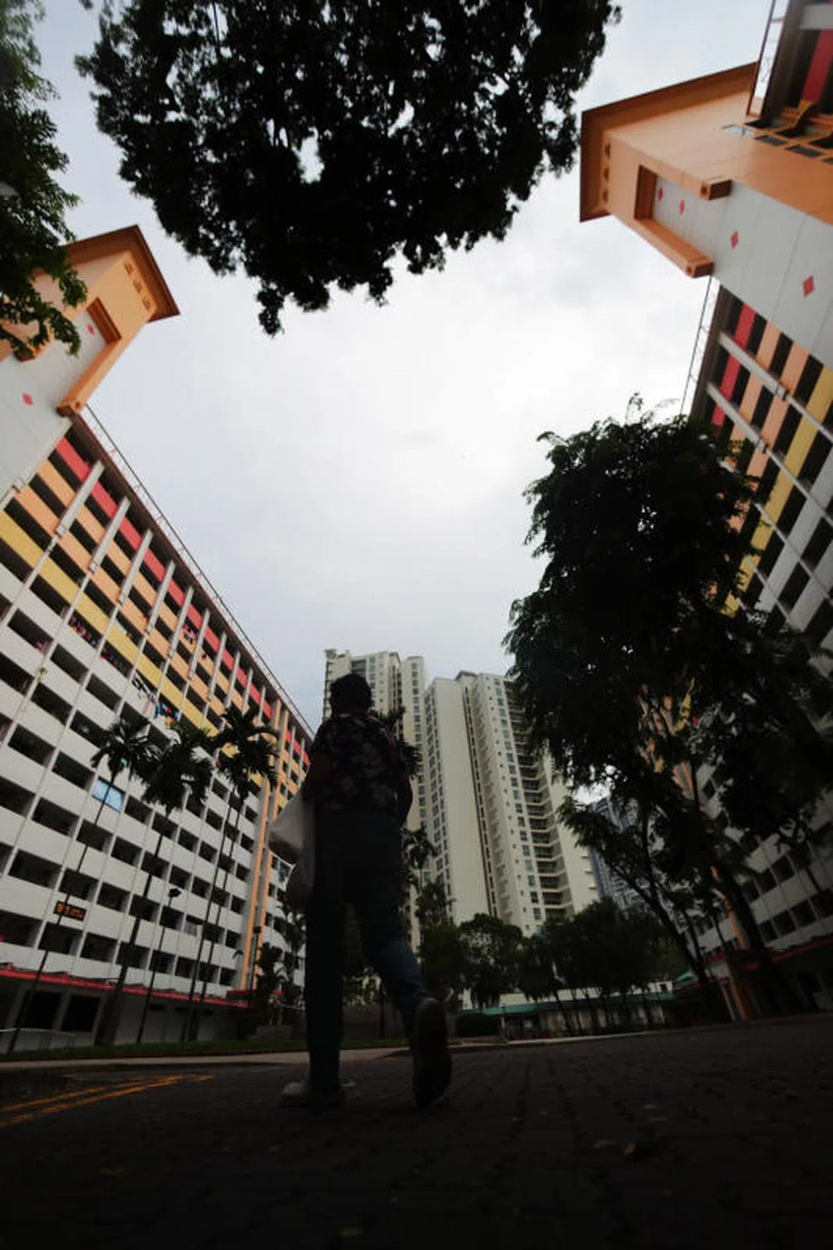  新加坡组屋和组屋之间的距离。（海峡时报） 