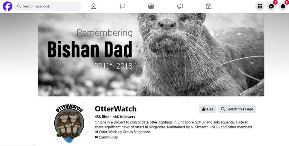 本地关心水獭的组织OtterＷatch。
