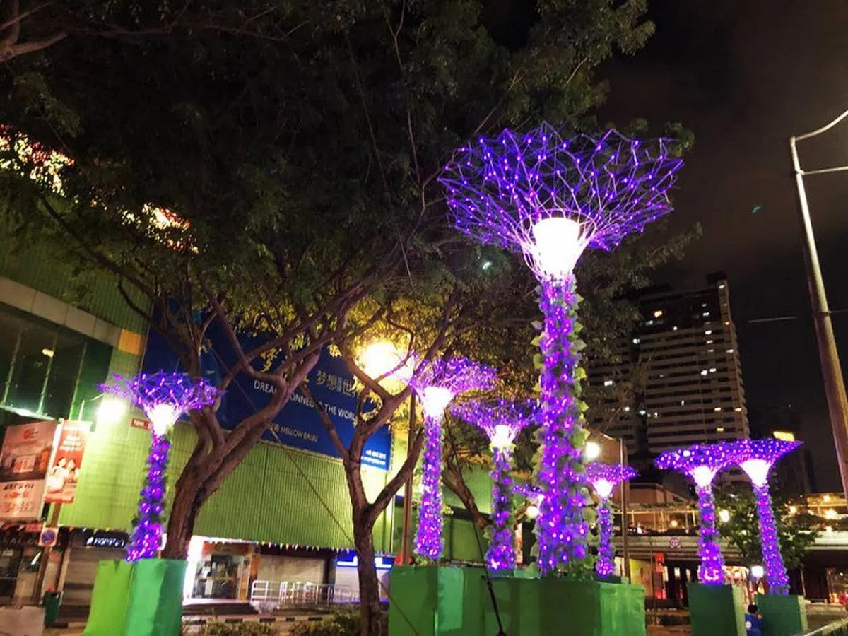  （Gardens by the bay） 