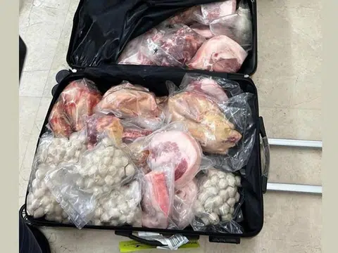 被当局起获的一箱肉类。（新加坡食品局）