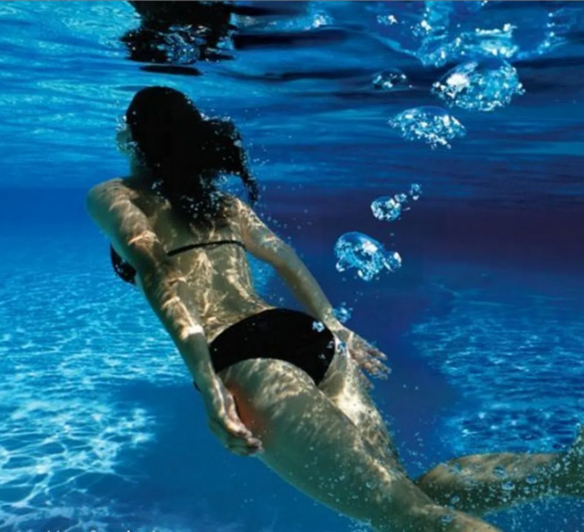  （取自互联网） 