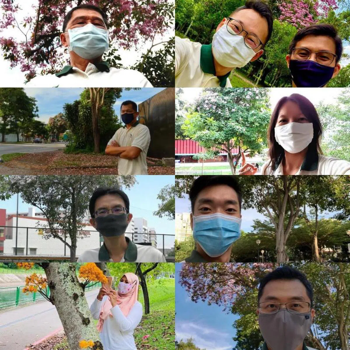  李智陞藉花寄语，向那些守护本地花草树木的幕后英雄表示感激。（李智陞面簿） 