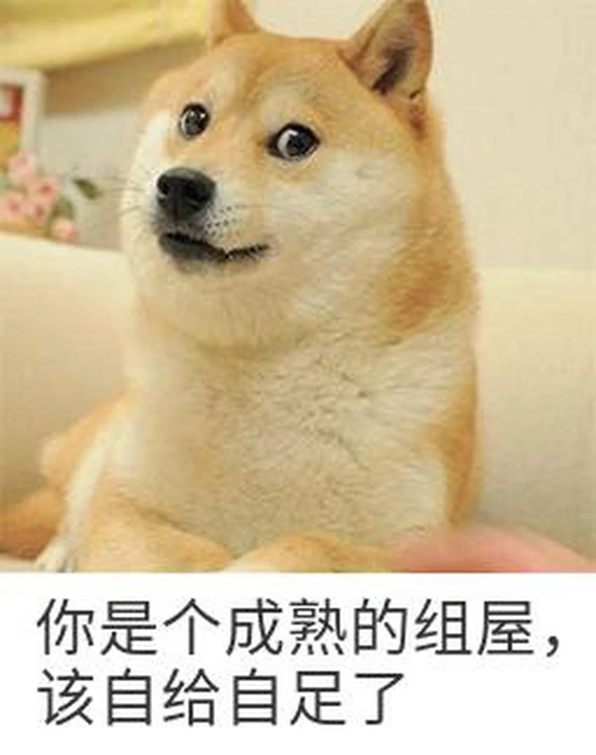  哈哈，红蚂蚁开个玩笑。（黄珞制图） 