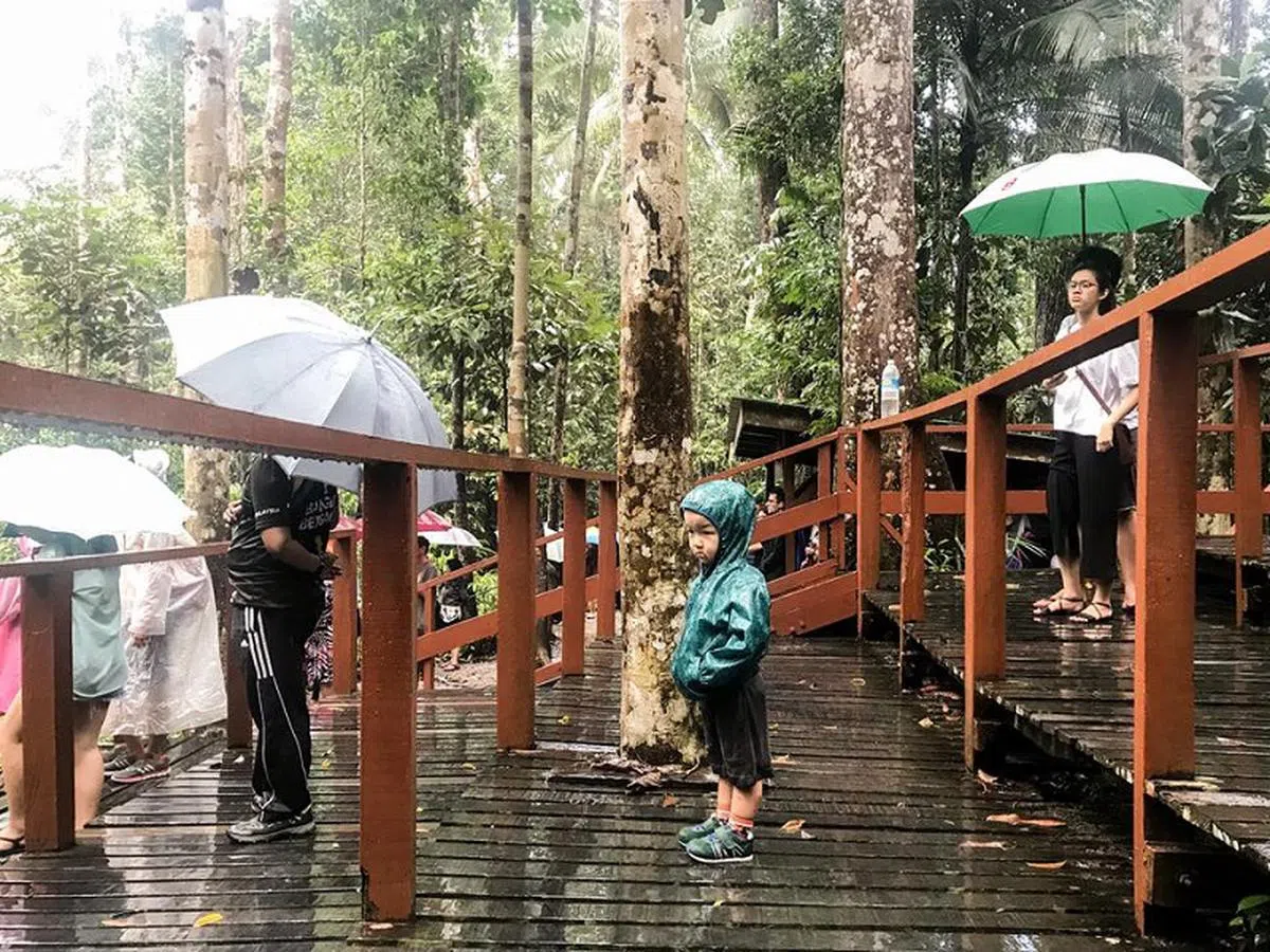  在雨中，倾盆大雨。 