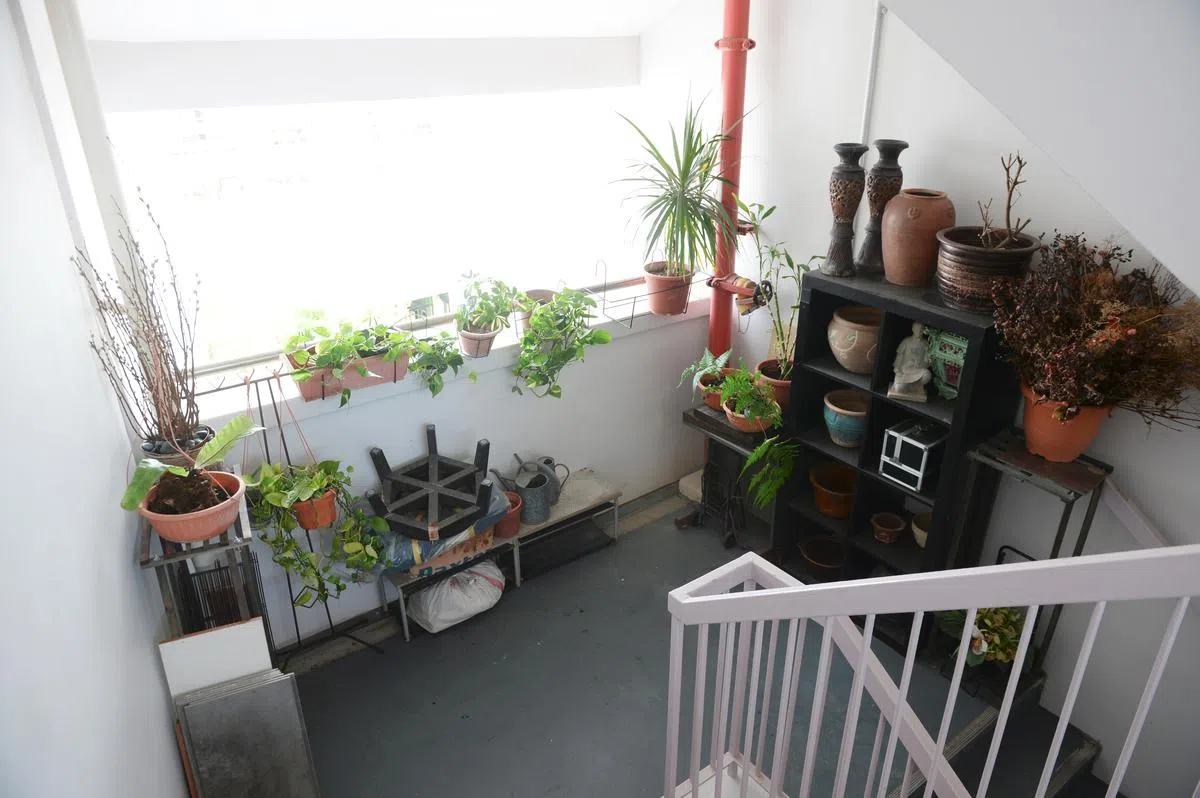  楼梯处也摆放了盆栽和家具。（联合晚报） 