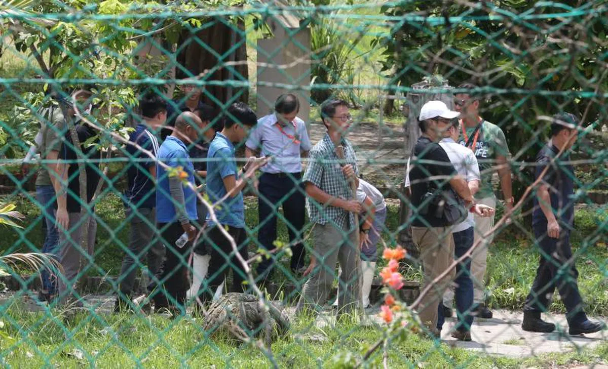  包括食品局、公园局和农场员工在内的20人寻牛小队手里拿着棍开始寻牛。（新明日报） 