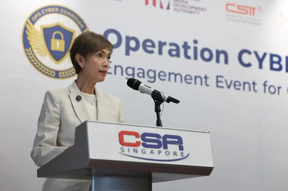 杨莉明说，一些展开网络袭击的组织背后有国家支持，以及强大的人力和技术支持，不会轻易放弃，将企图再次侵袭我国的电信系统，寻找稳固的立足点。