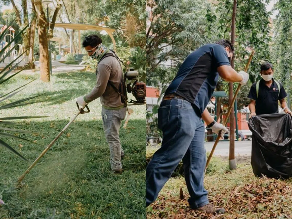 （取自沈颖面簿）