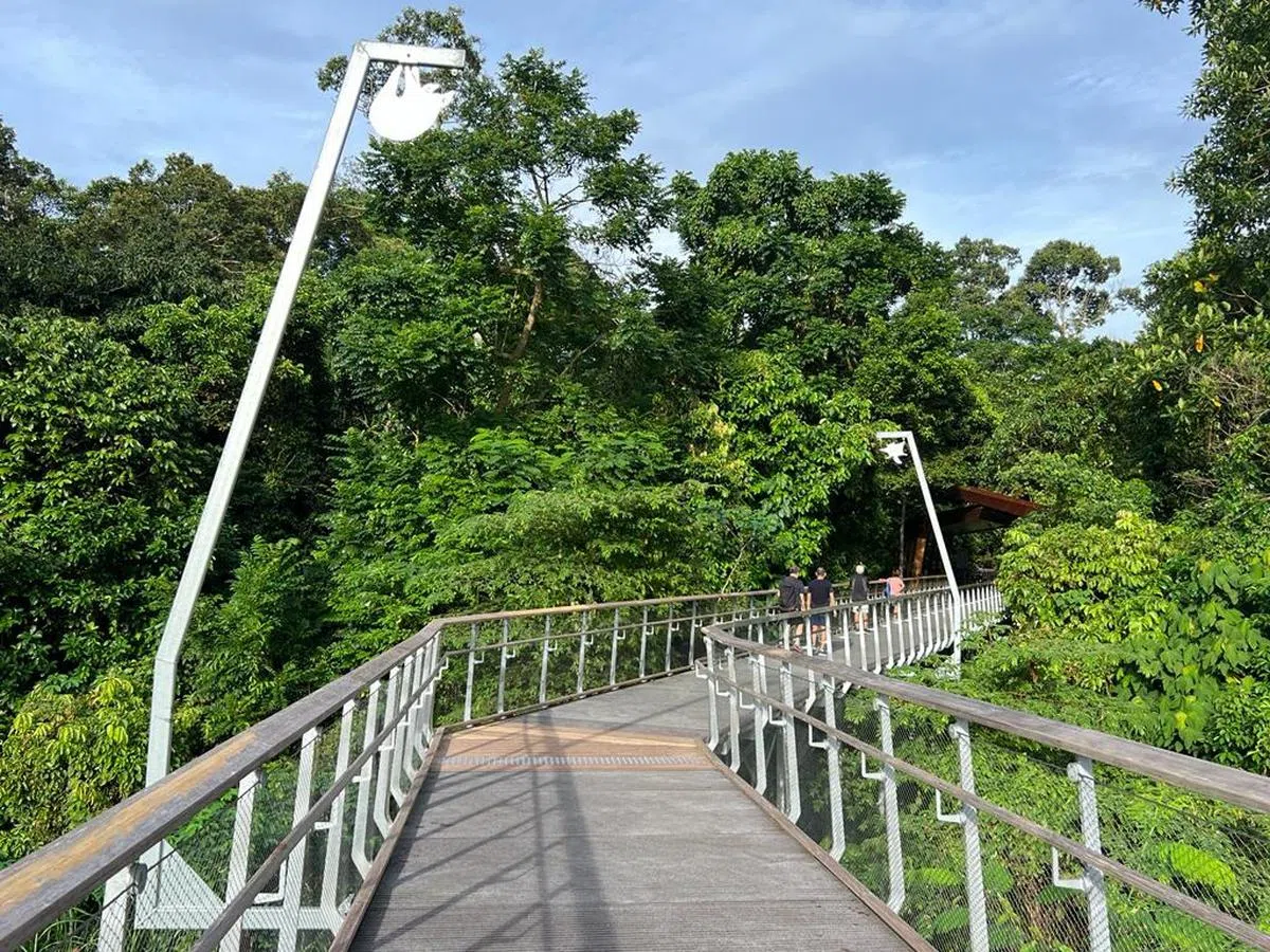 美世界小贩中心前往射靶场路自然公园的通道，连避雷针也是可爱的猫猴造型。（叶孝忠摄）