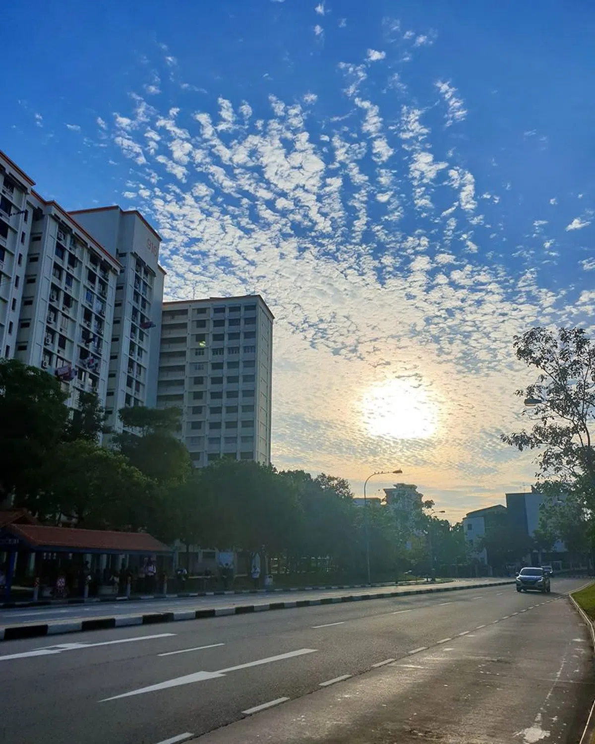  （取自Jocelyn Lee面簿） 