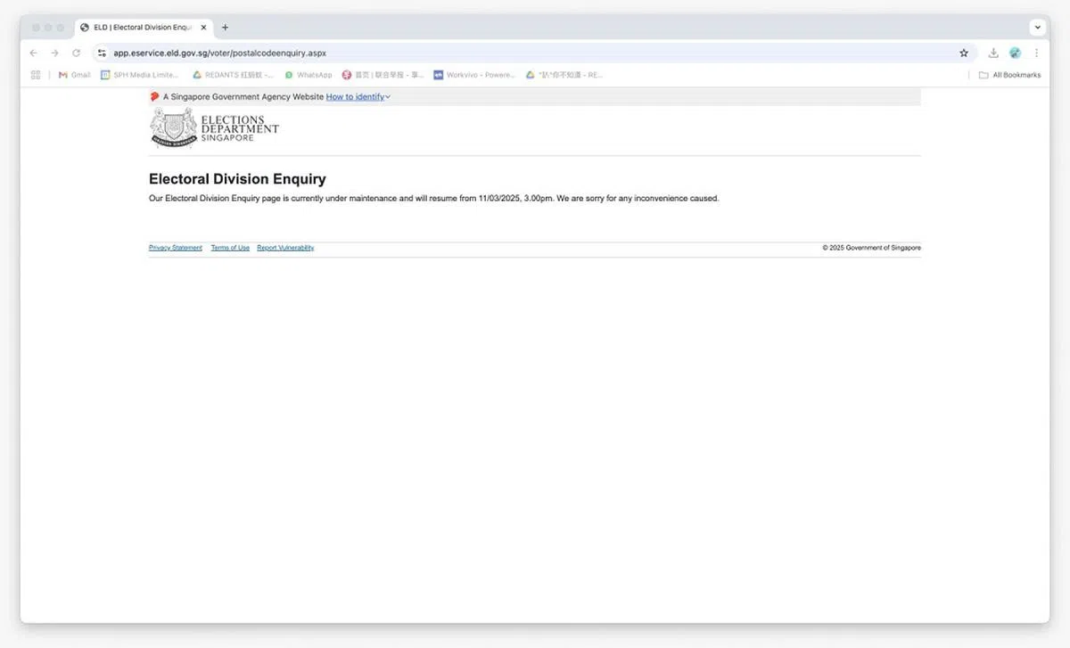 红蚂蚁11日下午大约2点半登录选举局网站查询所属选区，碰上了以上讯息。（截图）