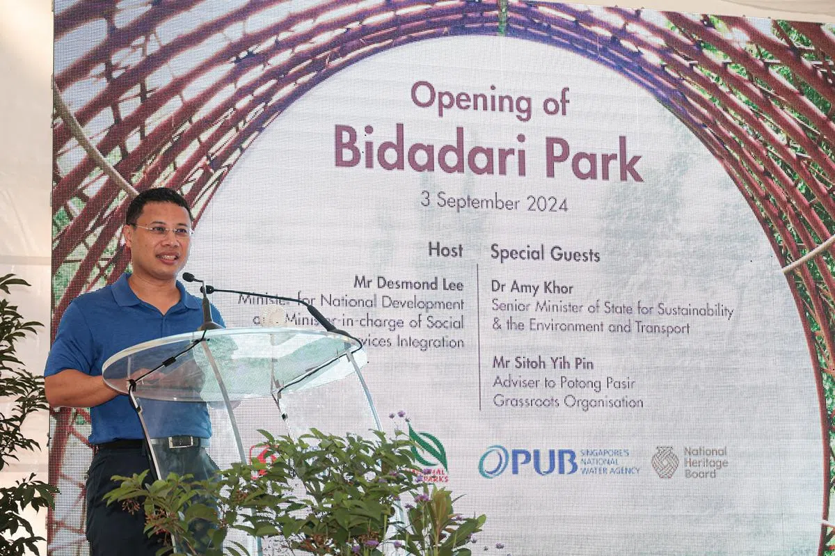 国家发展部长李智陞。（联合早报）