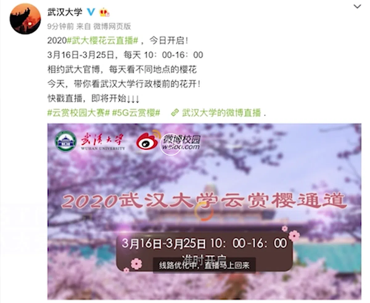  （截图） 