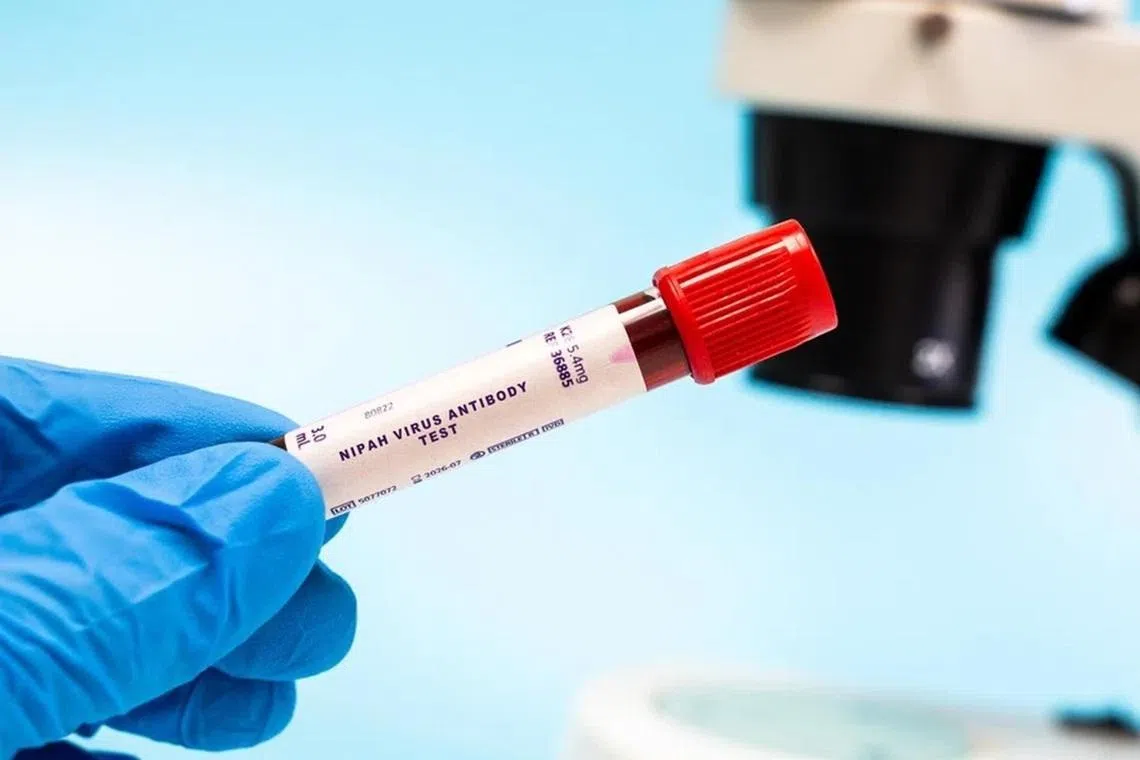 世界卫生组织在2018年将立百病毒列入需要优先关注的潜在高风险传染病名单。