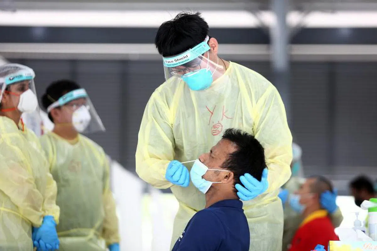  PCR拭子检测是许多人“心中的痛”。（联合早报） 