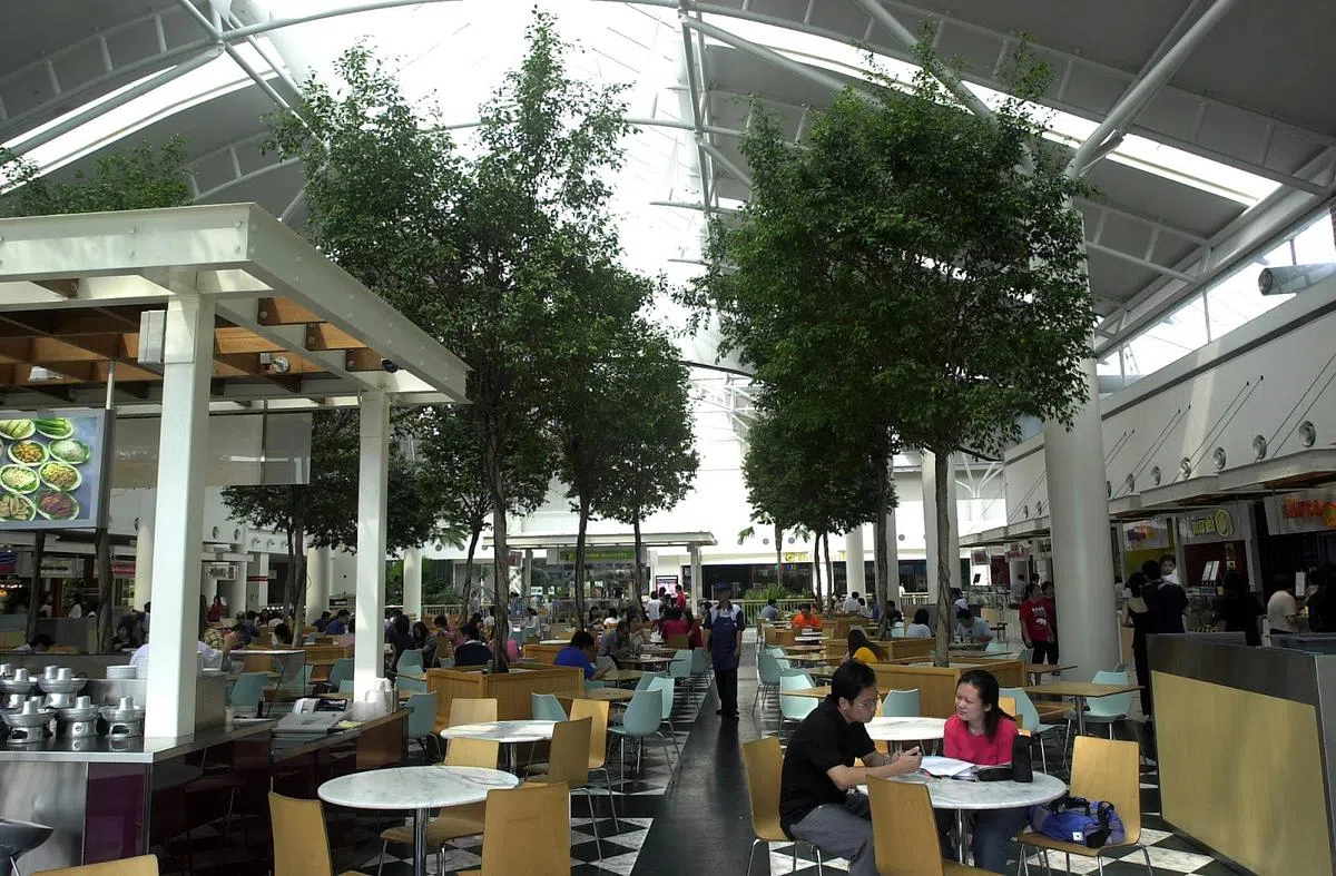  裕廊坊 Jurong Point 冷气食阁已安装防鸟网，但仍不能阻止这些不速之客。（新报） 