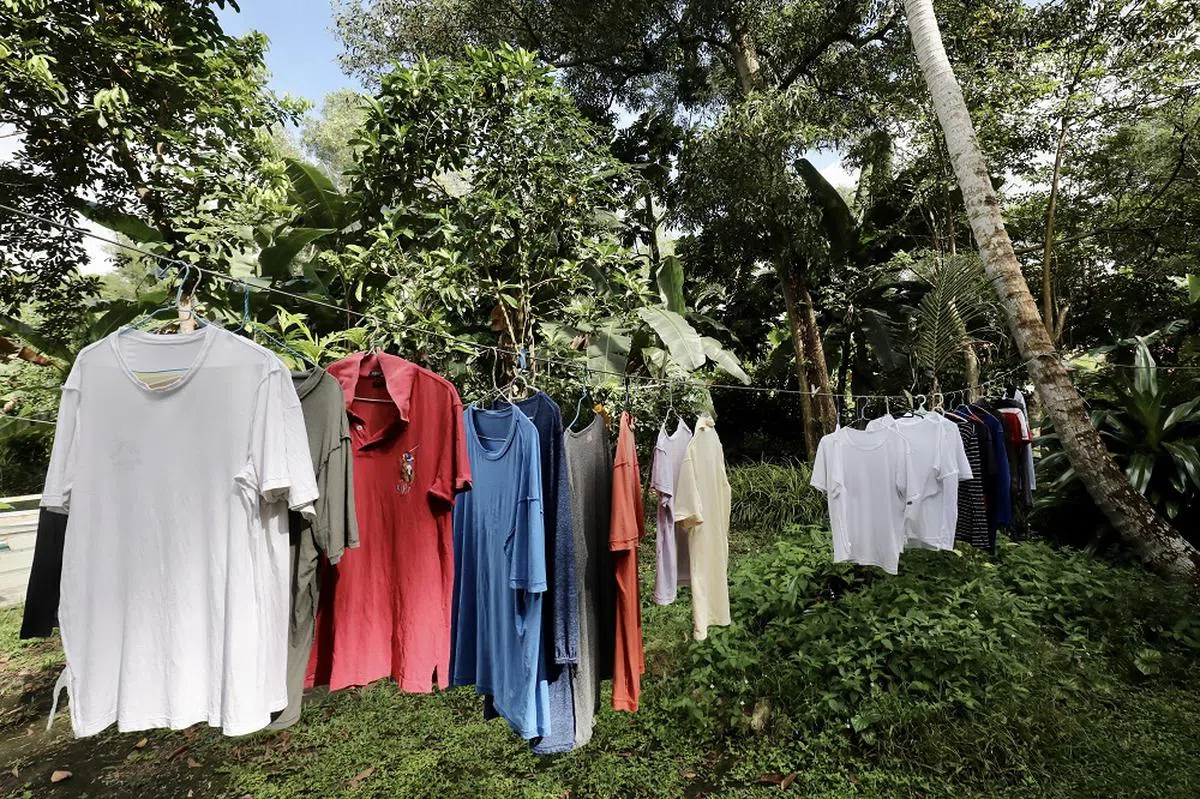 一旦土地被征用，就不能这样晾衣服了。（联合早报）