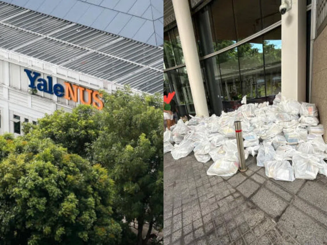 耶鲁—国大学院图书馆外，丢弃了有约六七十袋书籍，送去回收。（红蚂蚁制图）