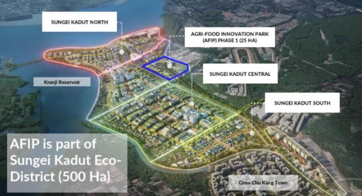  双溪加株生态区占地超过500公顷，将划分为四个主要地段，即汇集环境科技、建筑及木材相关行业的双溪布洛北、农业食品创新园（Agri Food Innovation Park）、结合商业及濒水住宅等用途的双溪布洛中，以及提倡共用生活与工作空间概念的双溪布洛南。（裕廊集团） 