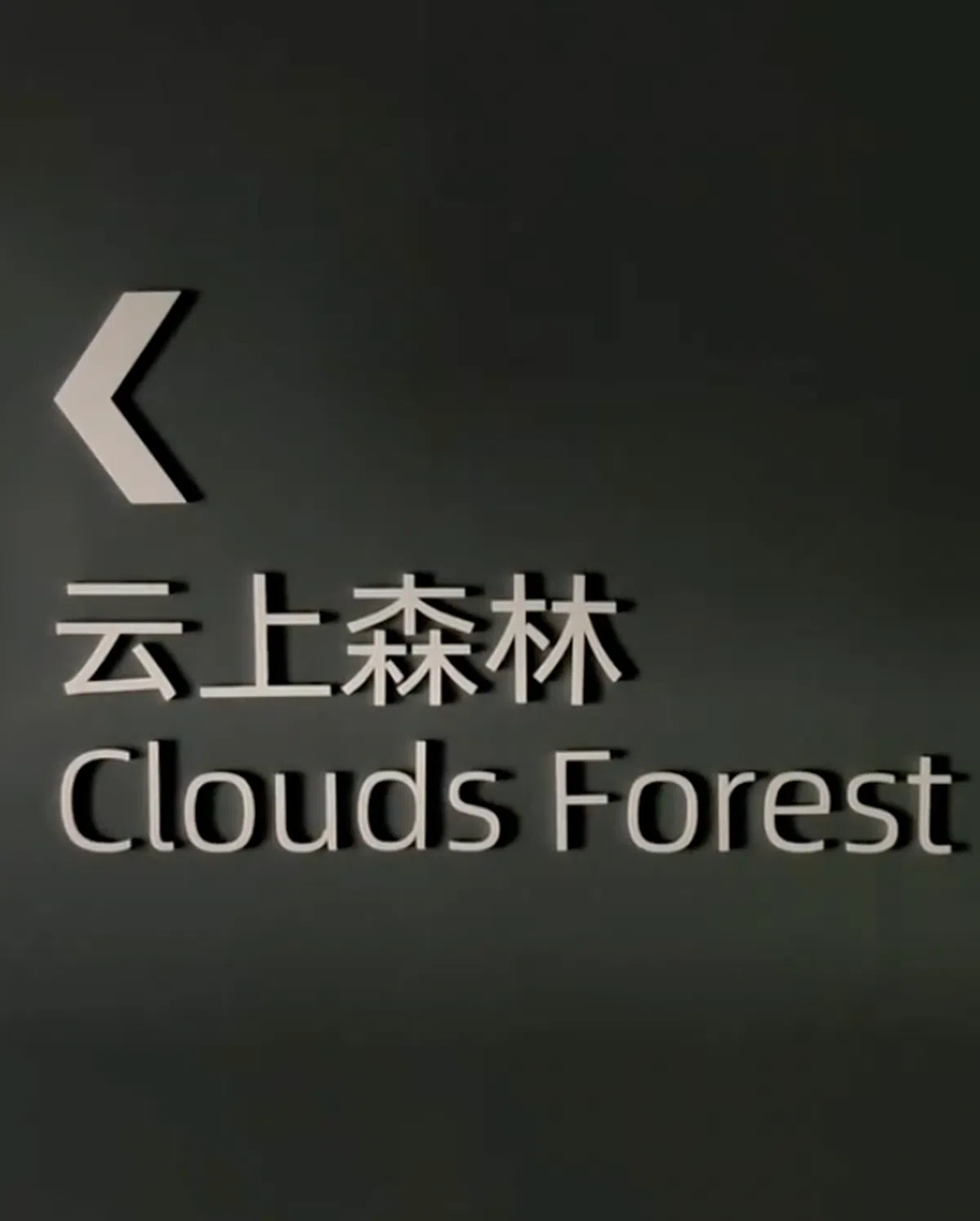 上海温室花园的云上森林“路标”。（取自noteggtan的TikTok账户）