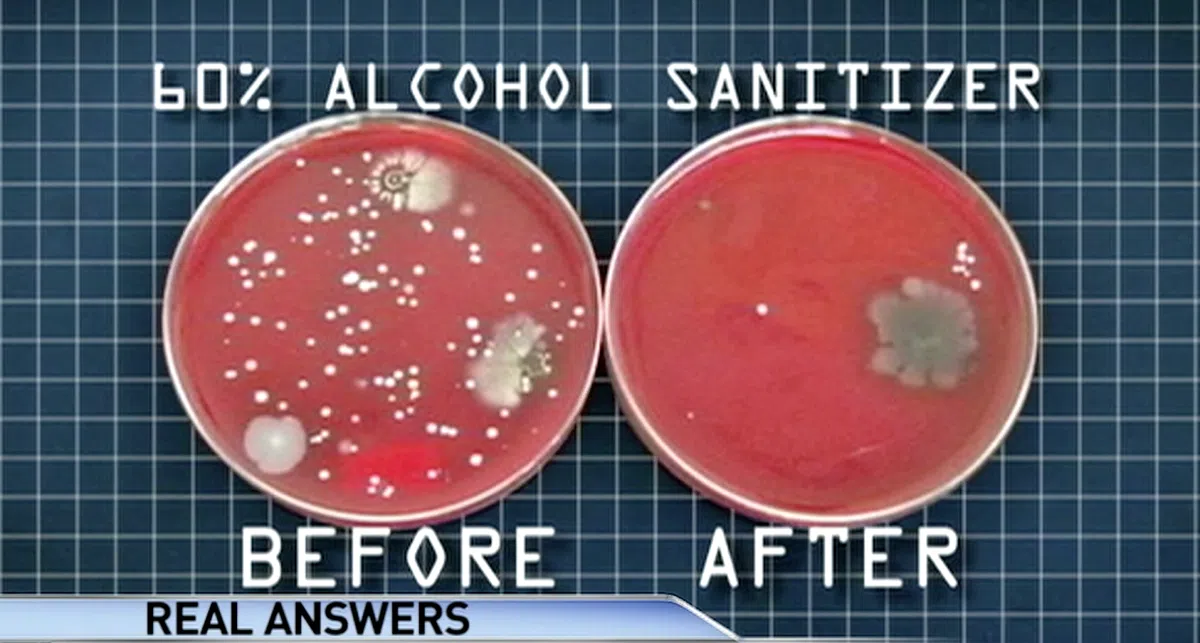  左为洗手前，右为使用60%酒精含量的免洗消毒液后。（视频截图） 