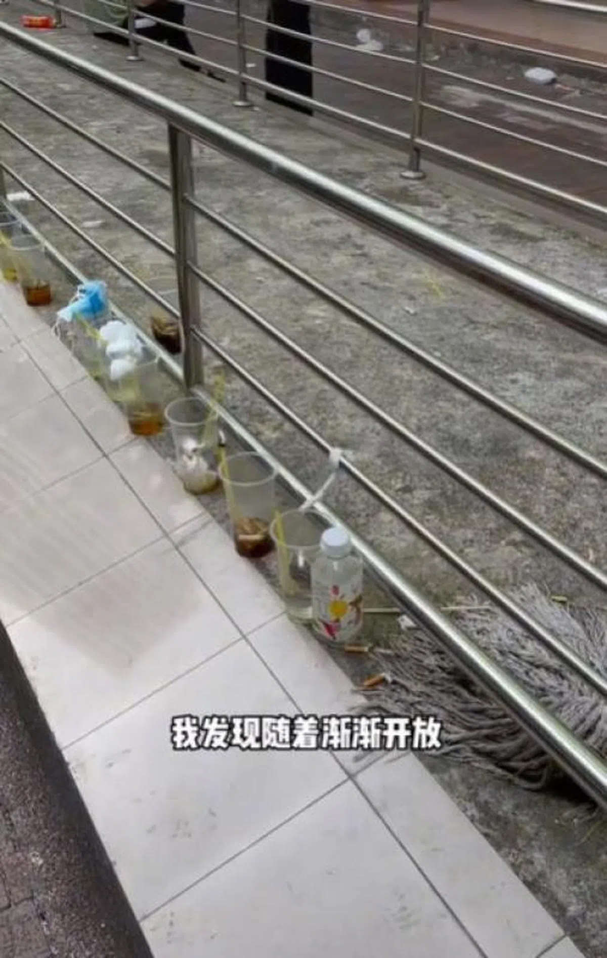 光看就知道，一人开始乱丢弃塑料杯，其他人接着效仿乱丢垃圾，才会如此狼藉一片。（截自视频）