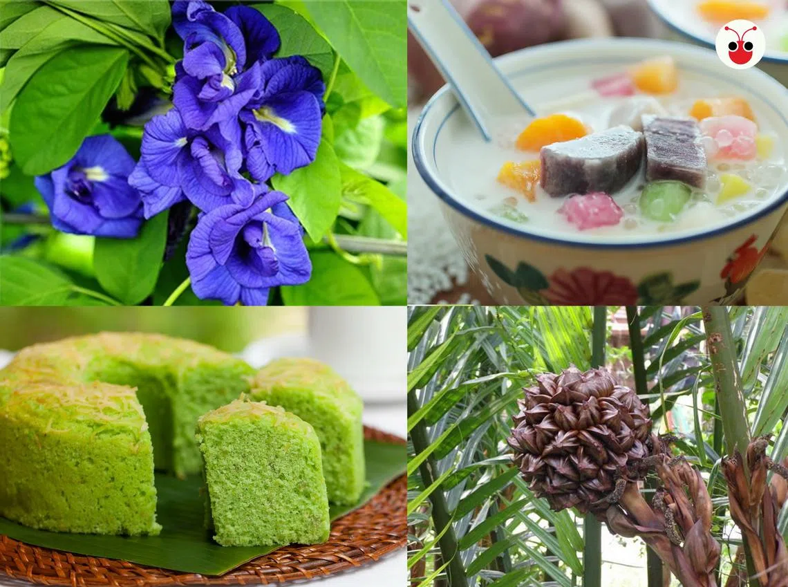 （陈姿潓制图）