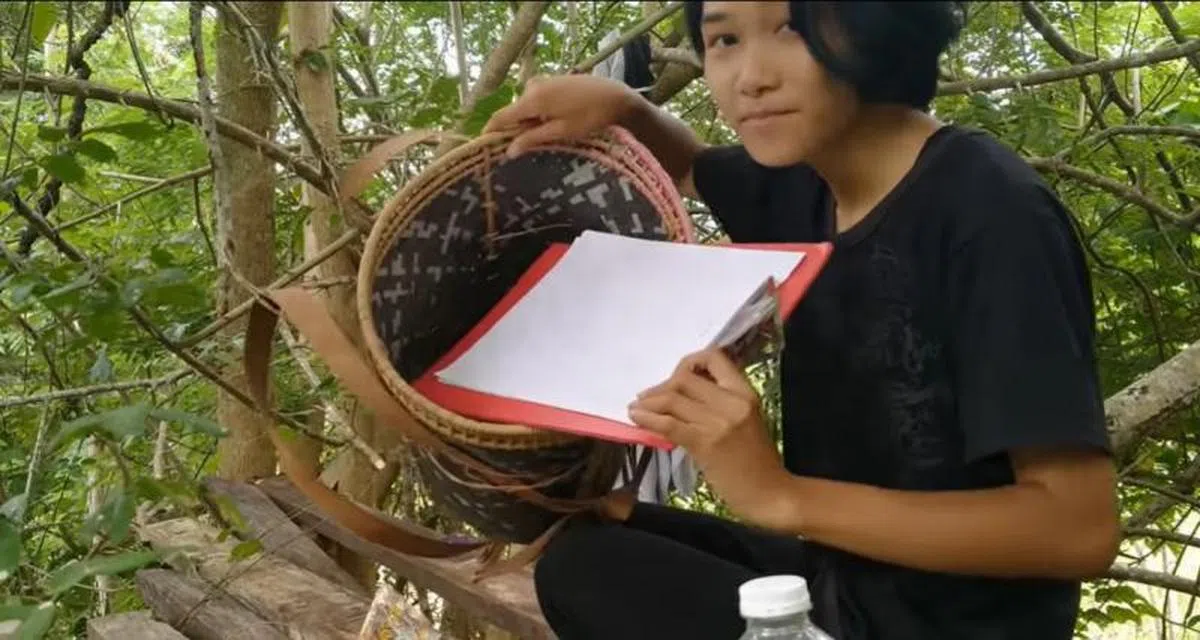  薇薇奥娜带了纸张、笔、计算机到树上考试。（视频截图） 