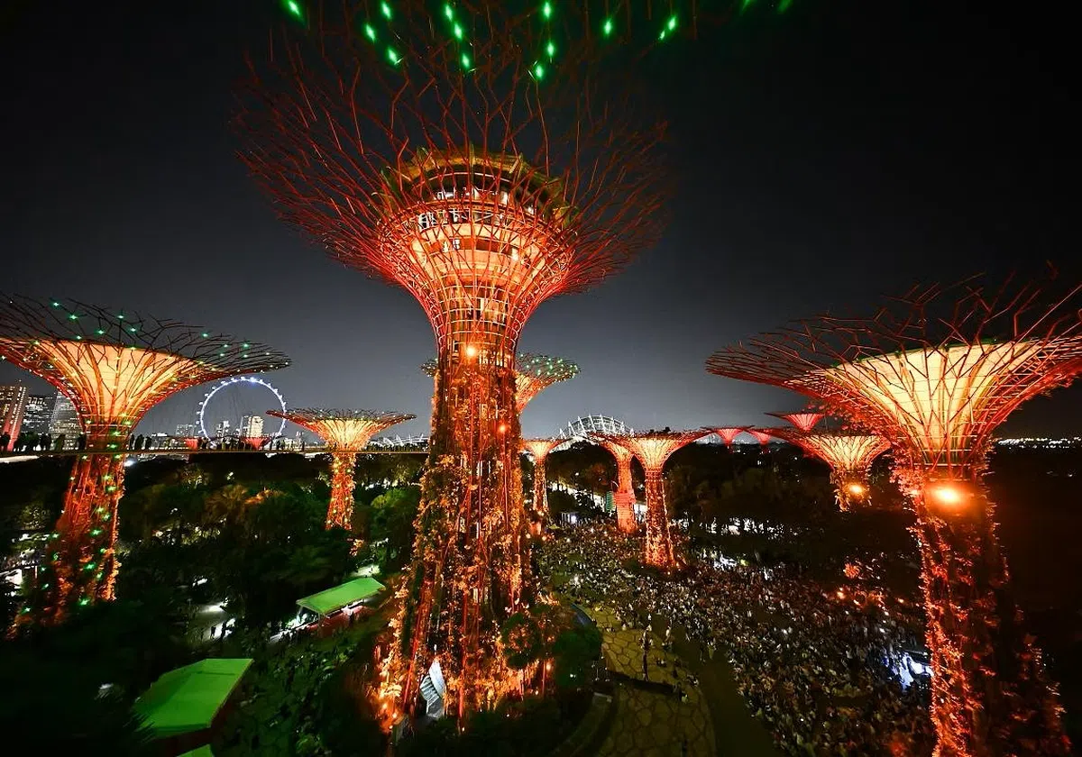 夜幕下，滨海湾花园擎天大树展现出另一种姿态。（海峡时报）