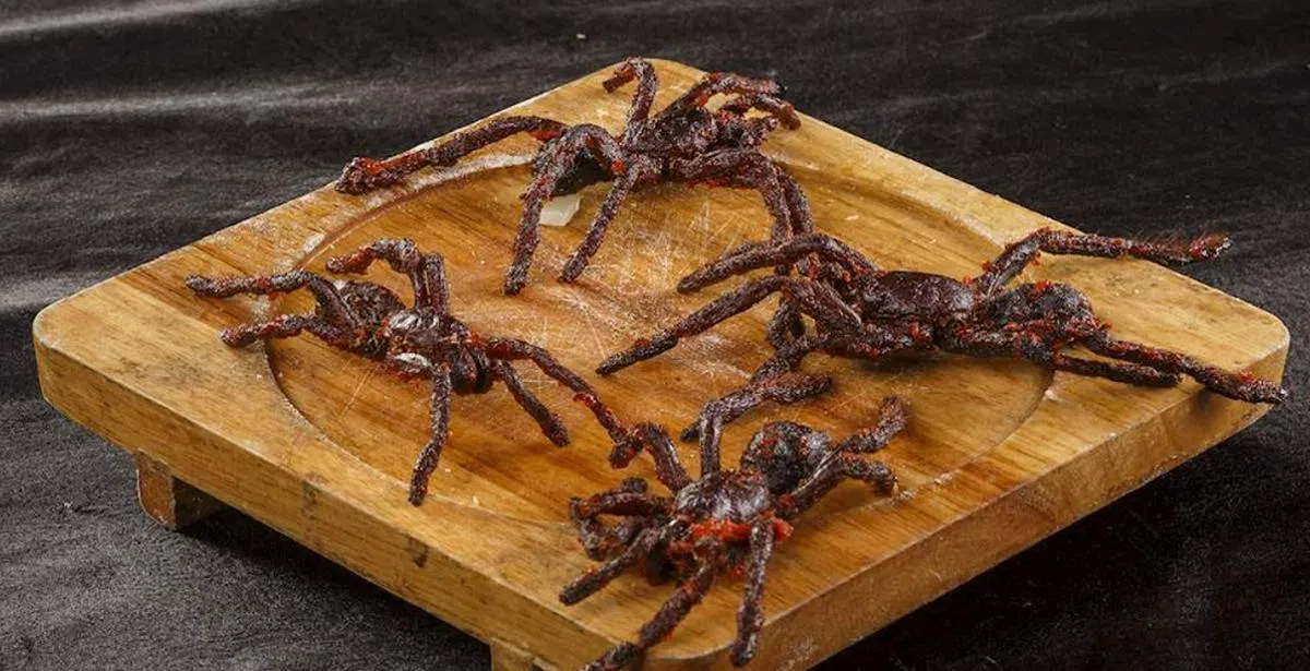 （TasteAtlas网站截图）