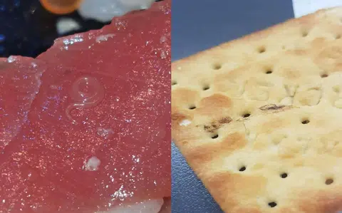 （取自脸书／红蚂蚁制图）