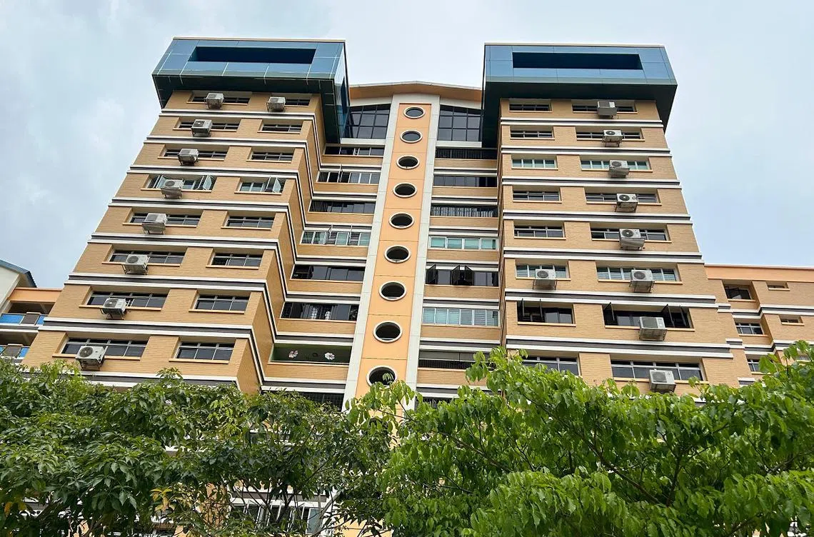 淡滨尼82街第856座组屋顶层的蓝色建筑是什么？（刘智澎摄）