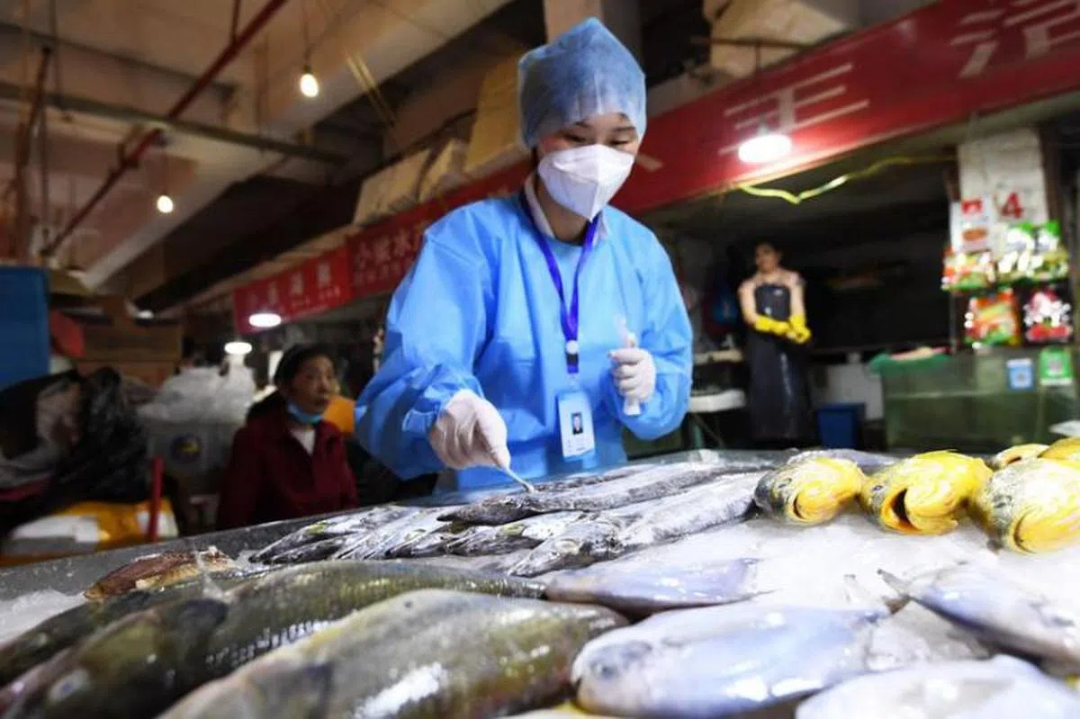 面对全球冠病朔源的压力，中国卫生当局提出了冠病是透过冷链自海外输入中国的理论。（路透社）