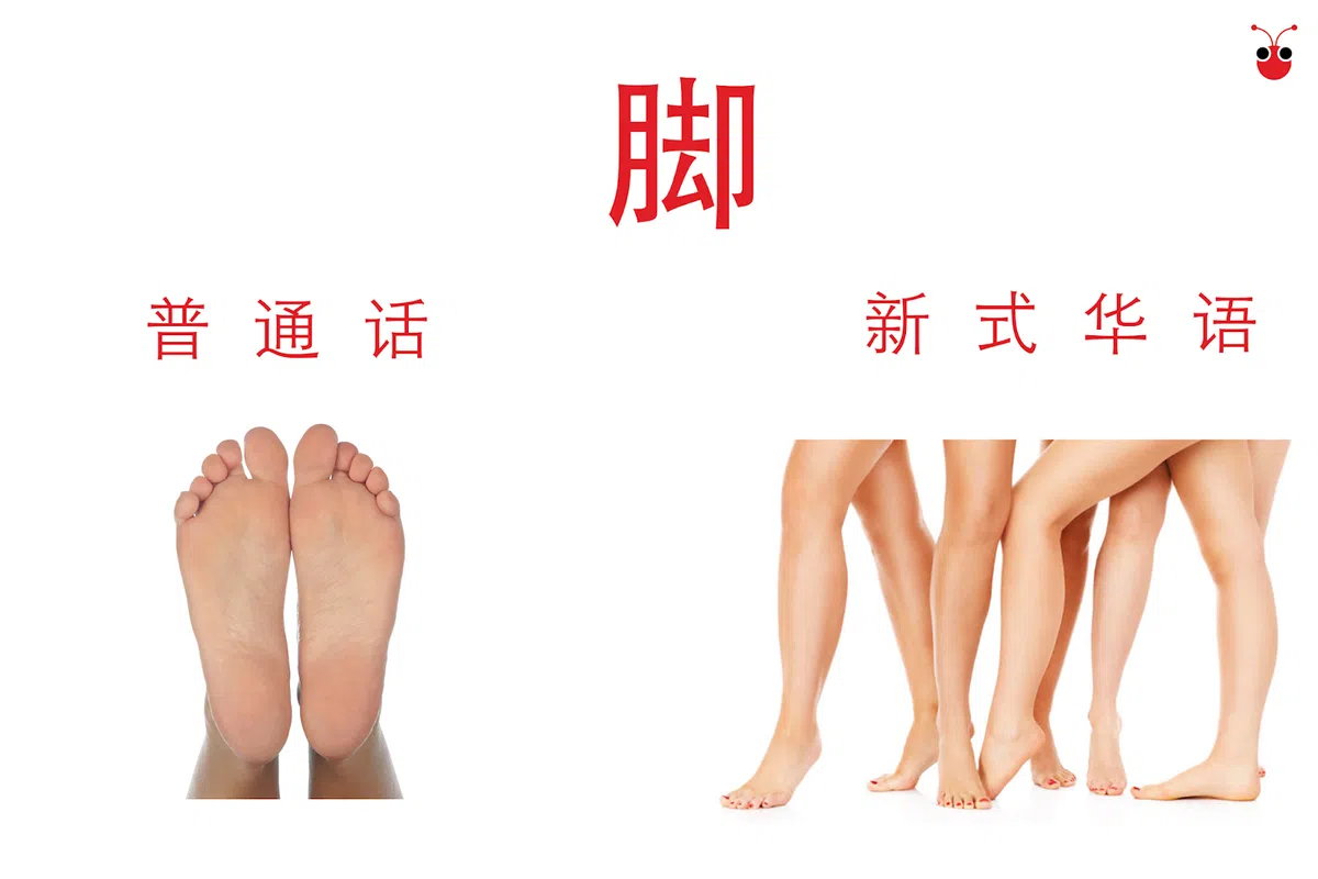  （郭跃男制图） 