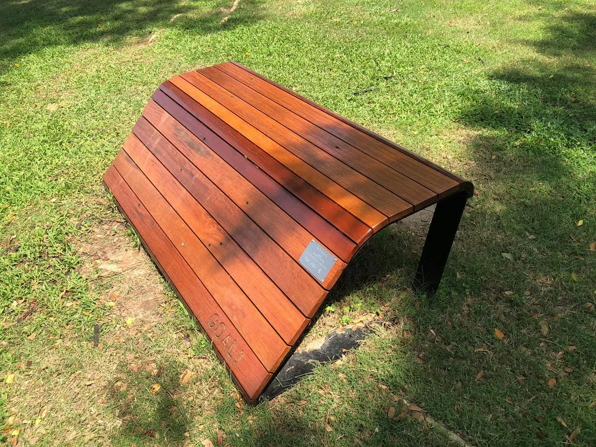  GOAL!（戴筠懿摄） 