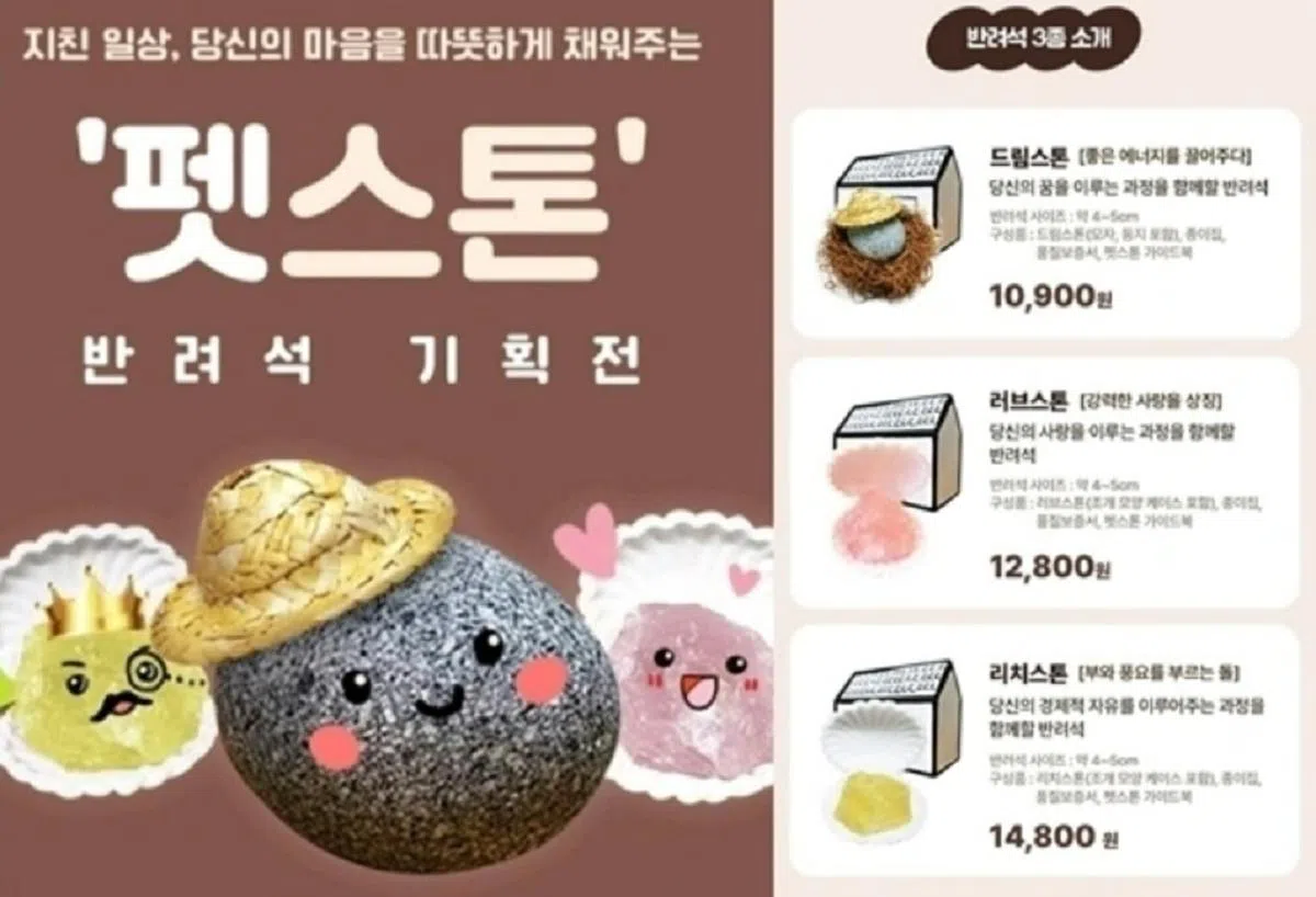“宠物石套组”在韩国各大便利商店都有售卖。（互联网）
