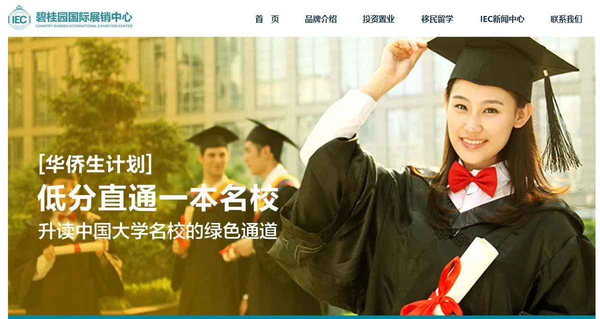  “一本名校”类似中国的重点大学。（网站截图） 