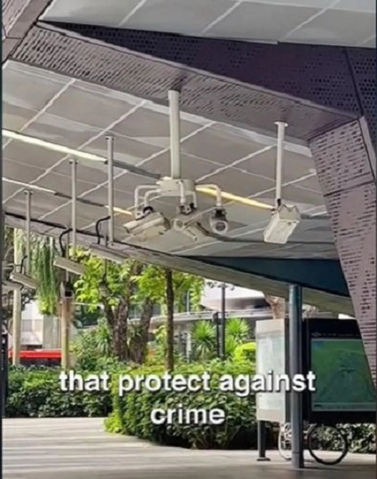 （TikTok截图）