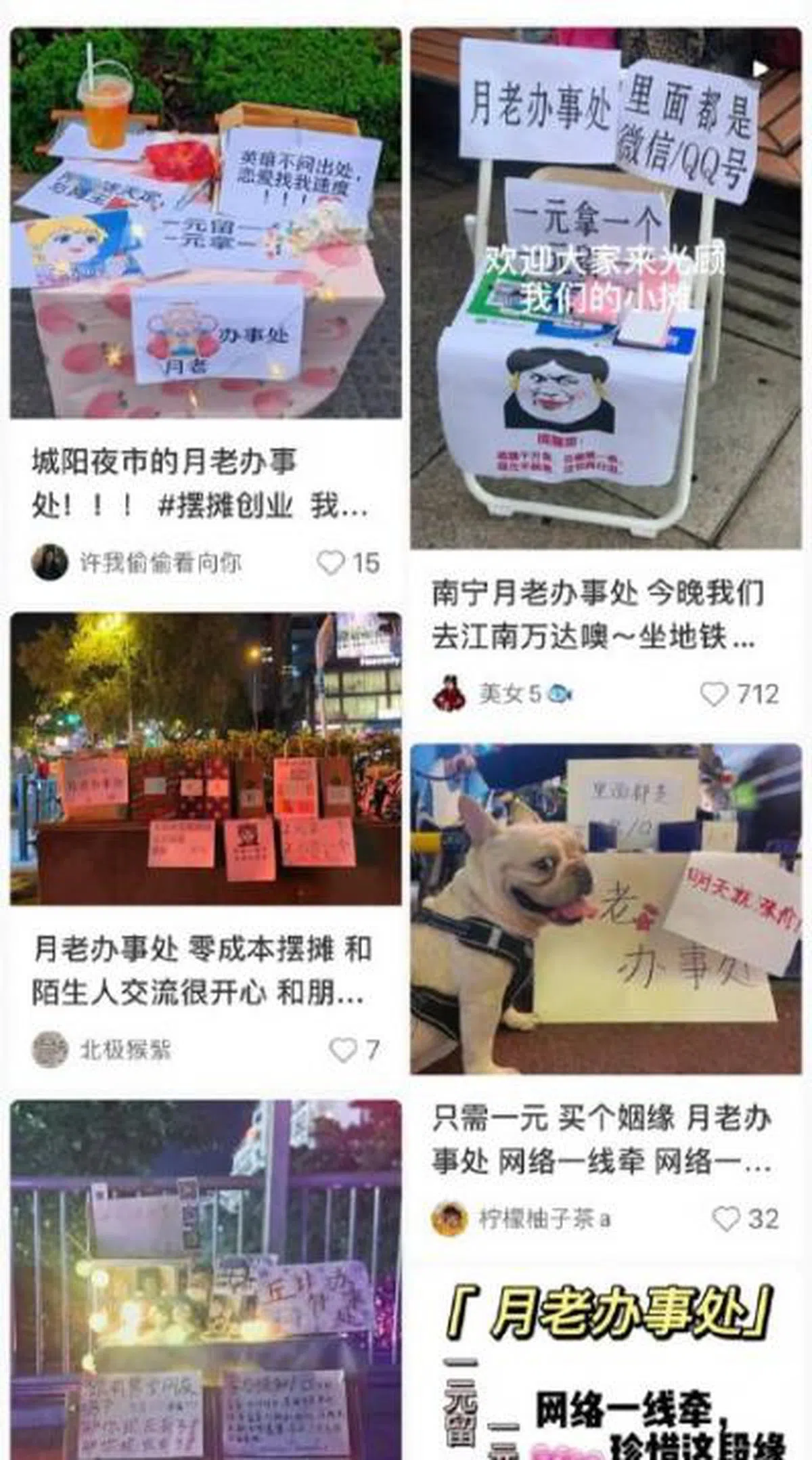 （小红书截图）